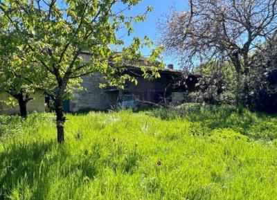 Barn With Orchard in Rural Idyll