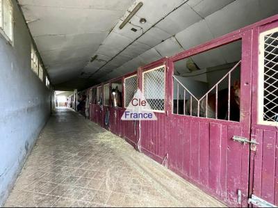 Equestrian Property set in 12 Hectares of Land