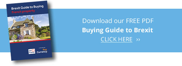 Brexit Guide Download