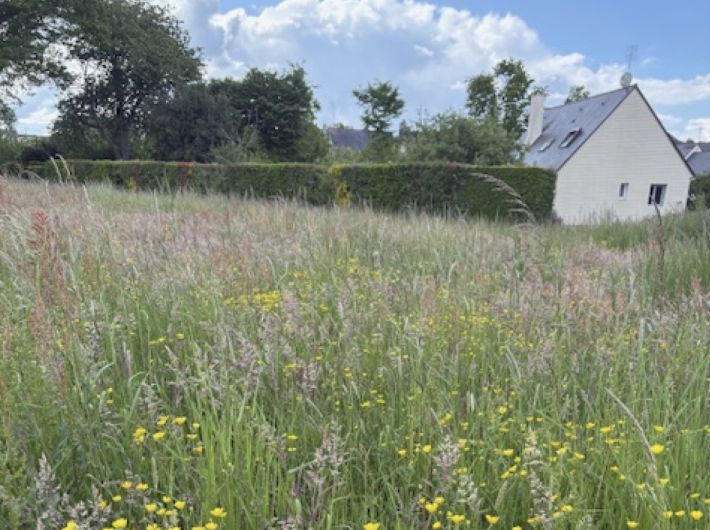 Building Plot For Sale