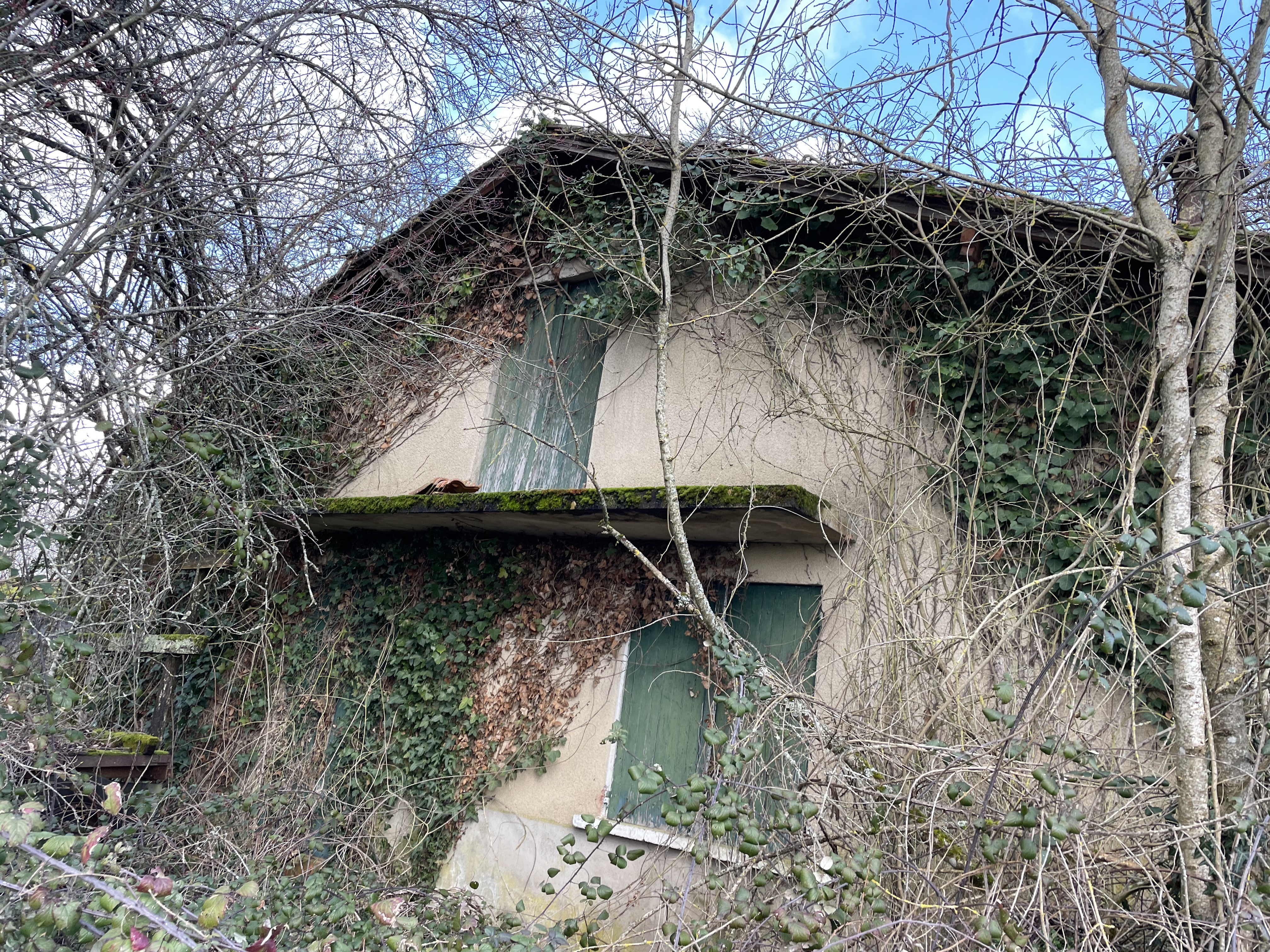 Huge Property to Renovate with Lots of Land