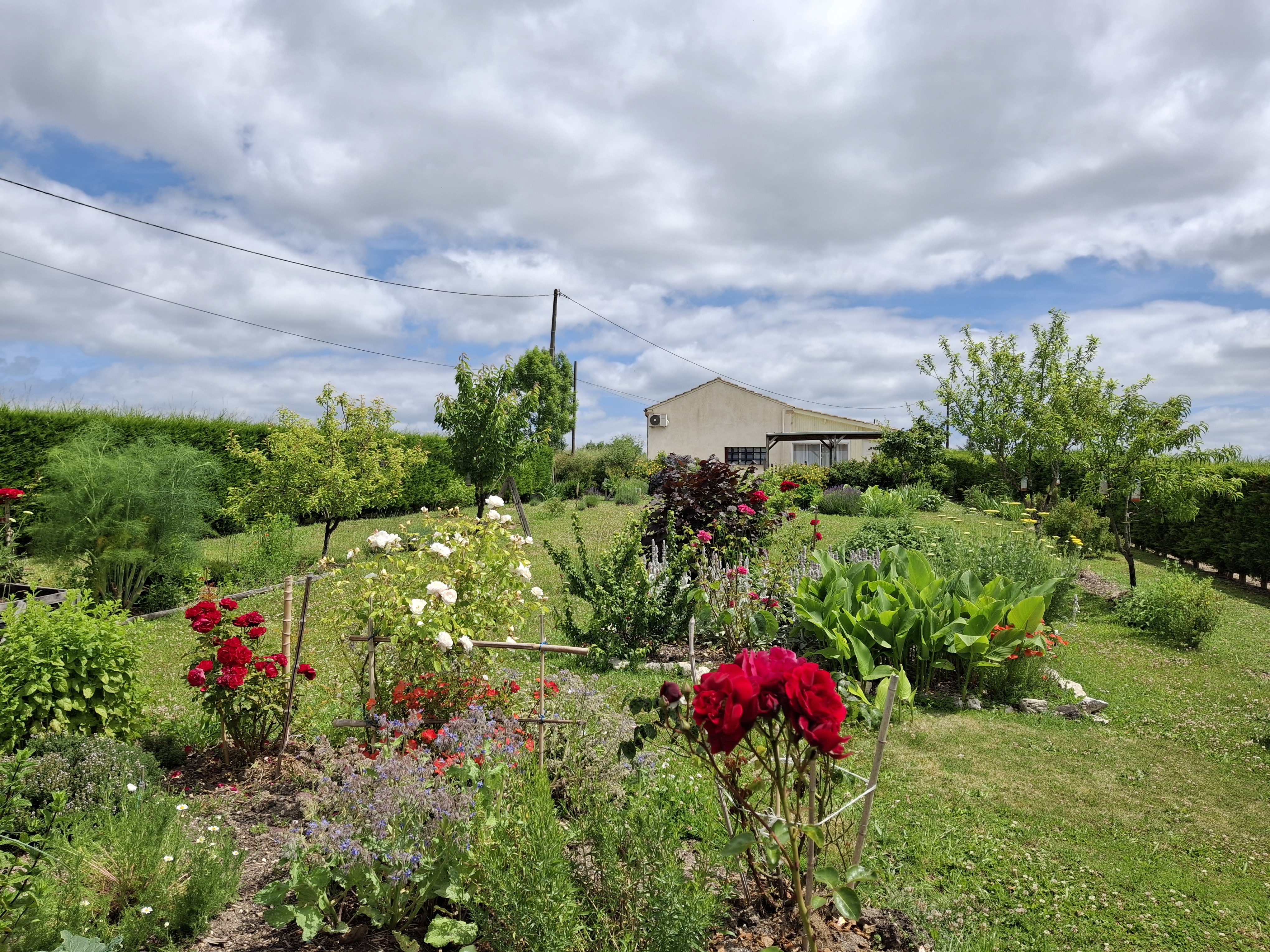 Detached Country House With Open View