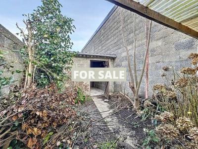 Habitable Town House With Garden