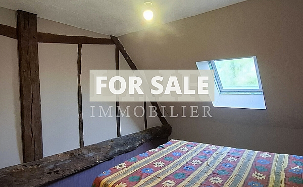 Property_For_Sale_in_France-with_Cle_France_Join_our_mailing_List_DJS05481_g