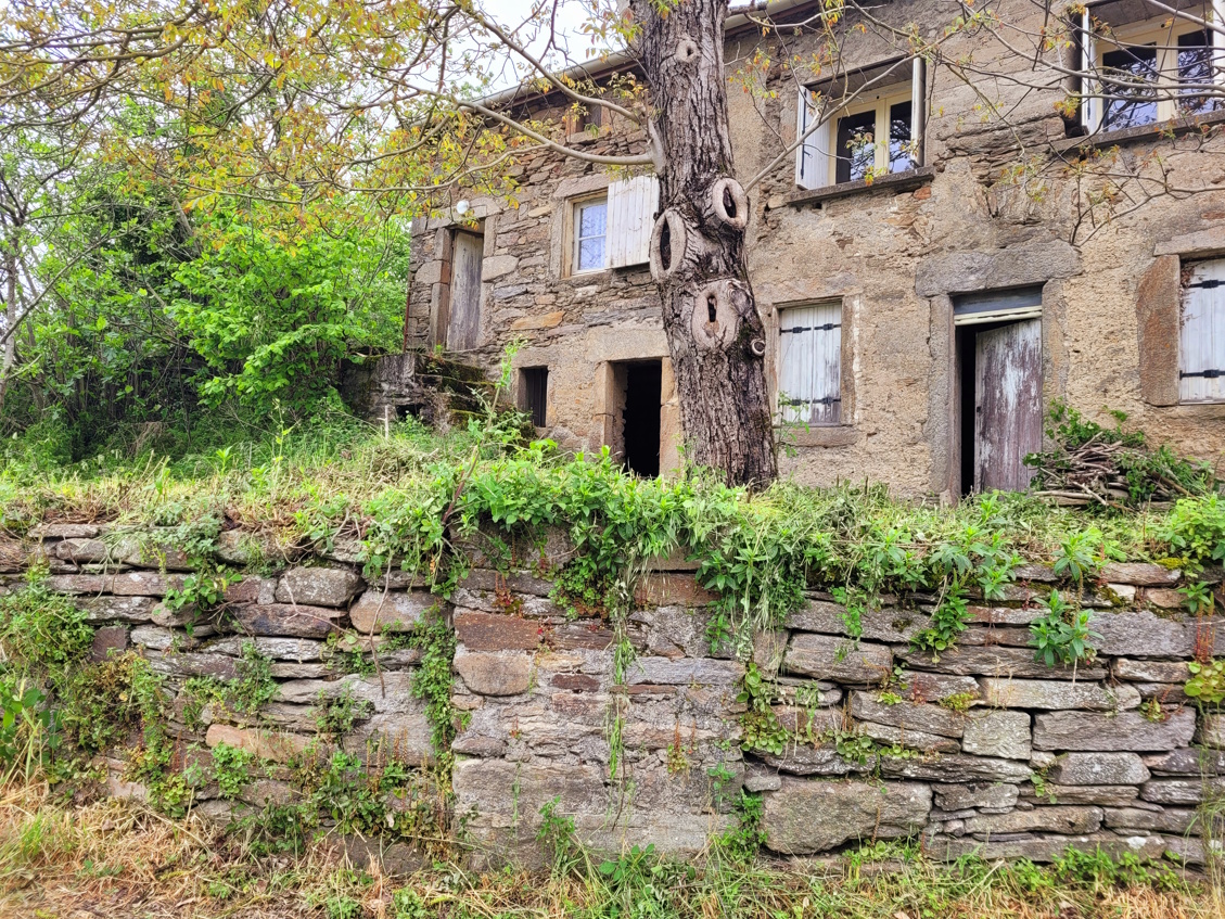 Pretty House To Renovate With Two Gardens