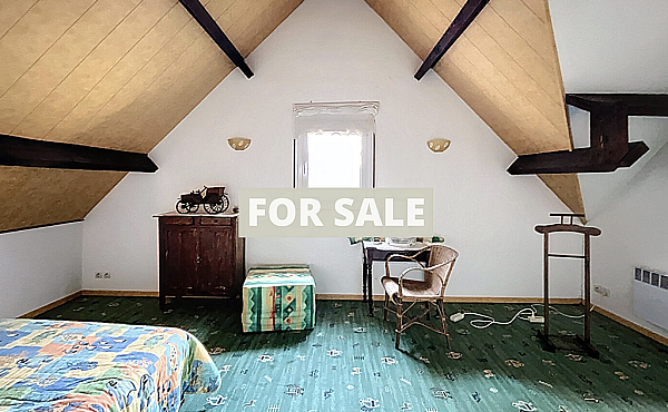 Property_For_Sale_in_France-with_Cle_France_Join_our_mailing_List_LNH11908_21