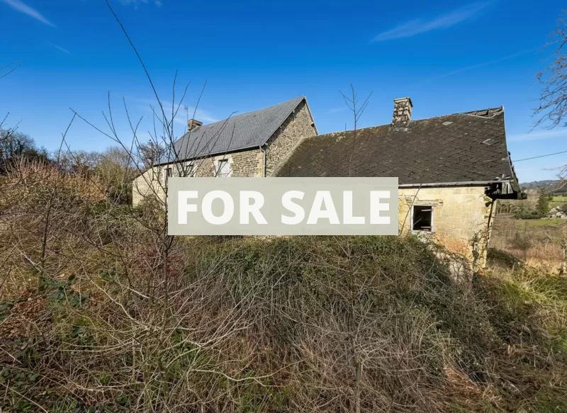 Detached Country House with Outbuildings and Land