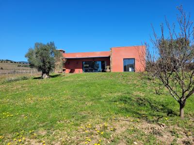 Winegrowing Estate And Wine Tourism Comple