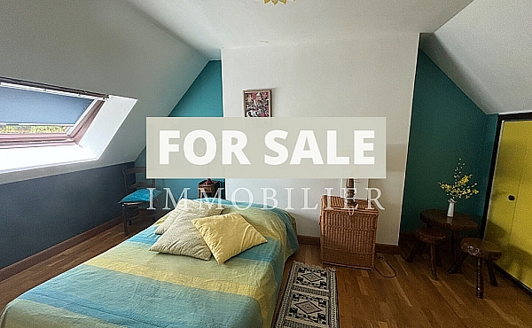 Property_For_Sale_in_France-with_Cle_France_Join_our_mailing_List_DJV05793_f