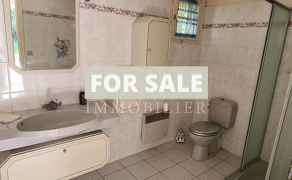 Property_For_Sale_in_France-with_Cle_France_Join_our_mailing_List_DJV05824_e