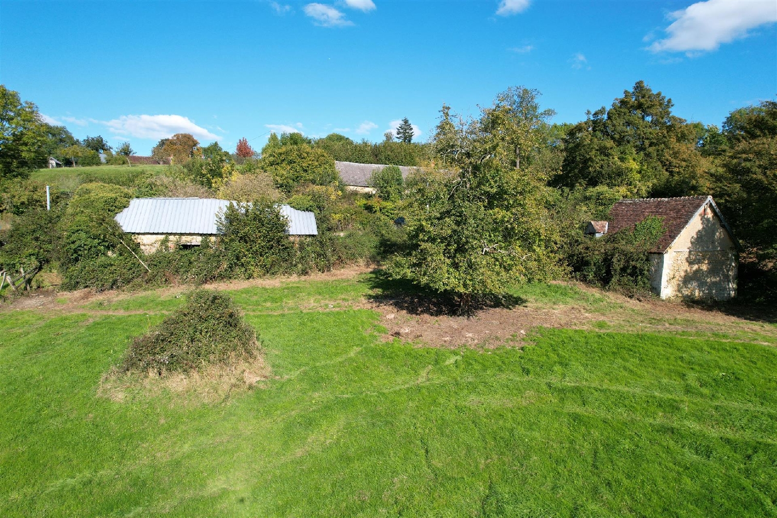 Two Buildings in 3.5 Hectares of Land