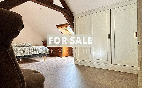 Property_For_Sale_in_France-with_Cle_France_Join_our_mailing_List_DJS05483_g