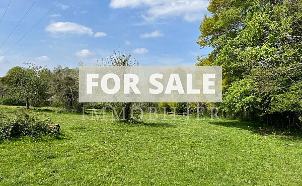 Property_For_Sale_in_France-with_Cle_France_Join_our_mailing_List_DJS05483_l