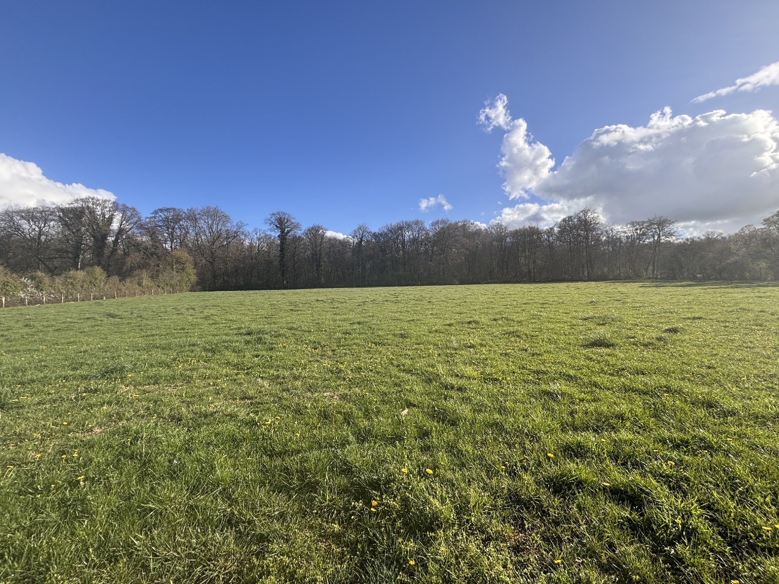 Three Building Plots of Land