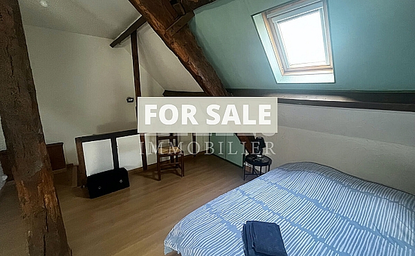 Property_For_Sale_in_France-with_Cle_France_Join_our_mailing_List_DJV05902_b