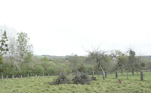 Property_For_Sale_in_France-with_Cle_France_Join_our_mailing_List_MNB07284_1.04