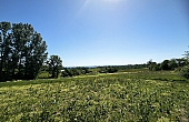 IMG_20260424_142137
