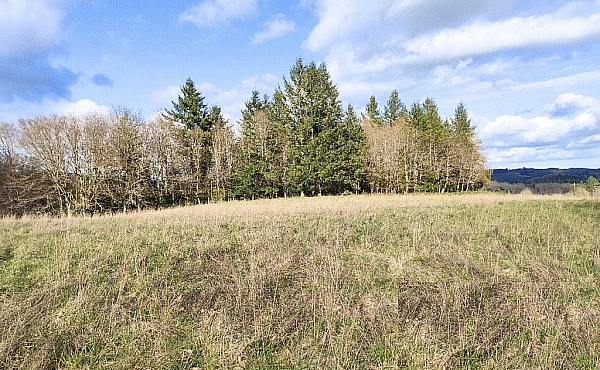 Ideal Equestrian Land in Limousin Countryside