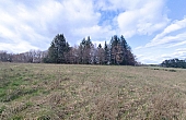 Property_For_Sale_in_France-with_Cle_France_Join_our_mailing_List_ERS00104_(13)