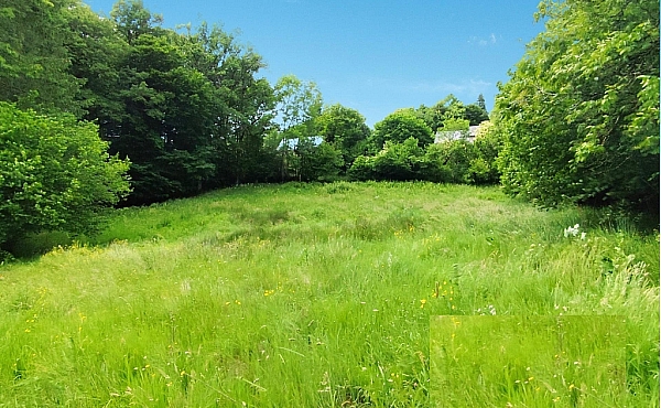 Building Plot For Sale in Limousin Countryside