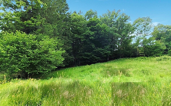 Property_For_Sale_in_France-with_Cle_France_Join_our_mailing_List_ERS00122_(2)