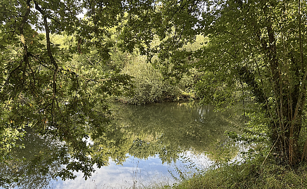 Property_For_Sale_in_France_with_Cle_France_Join_our_mailing_List_RFV01026_28