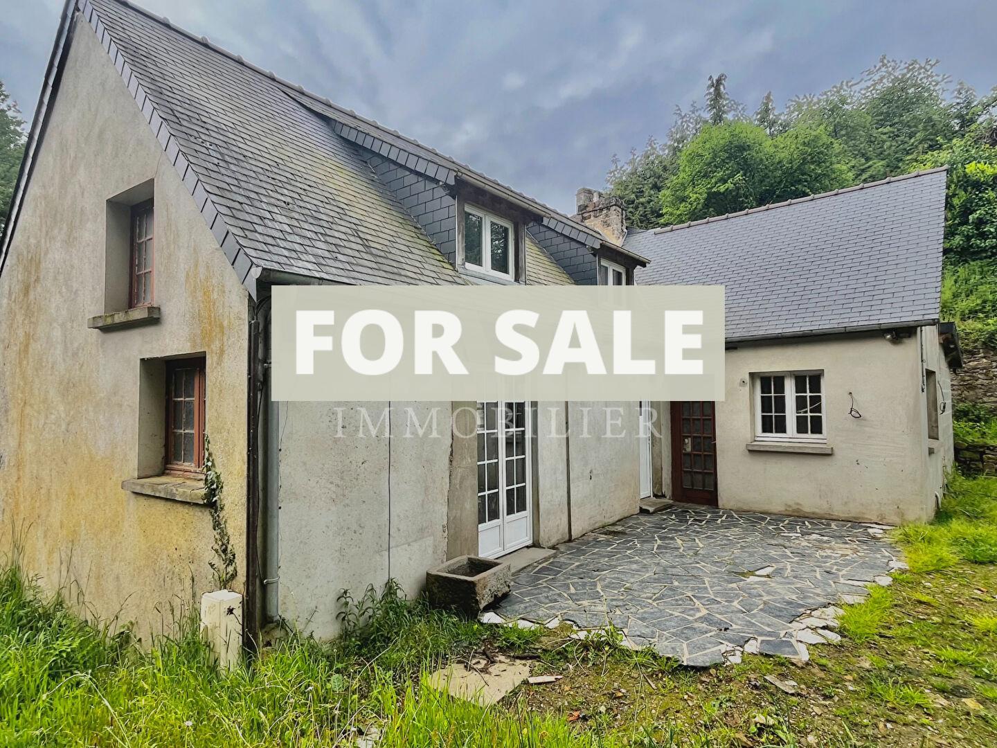 Detached House with Outbuilding in Garden