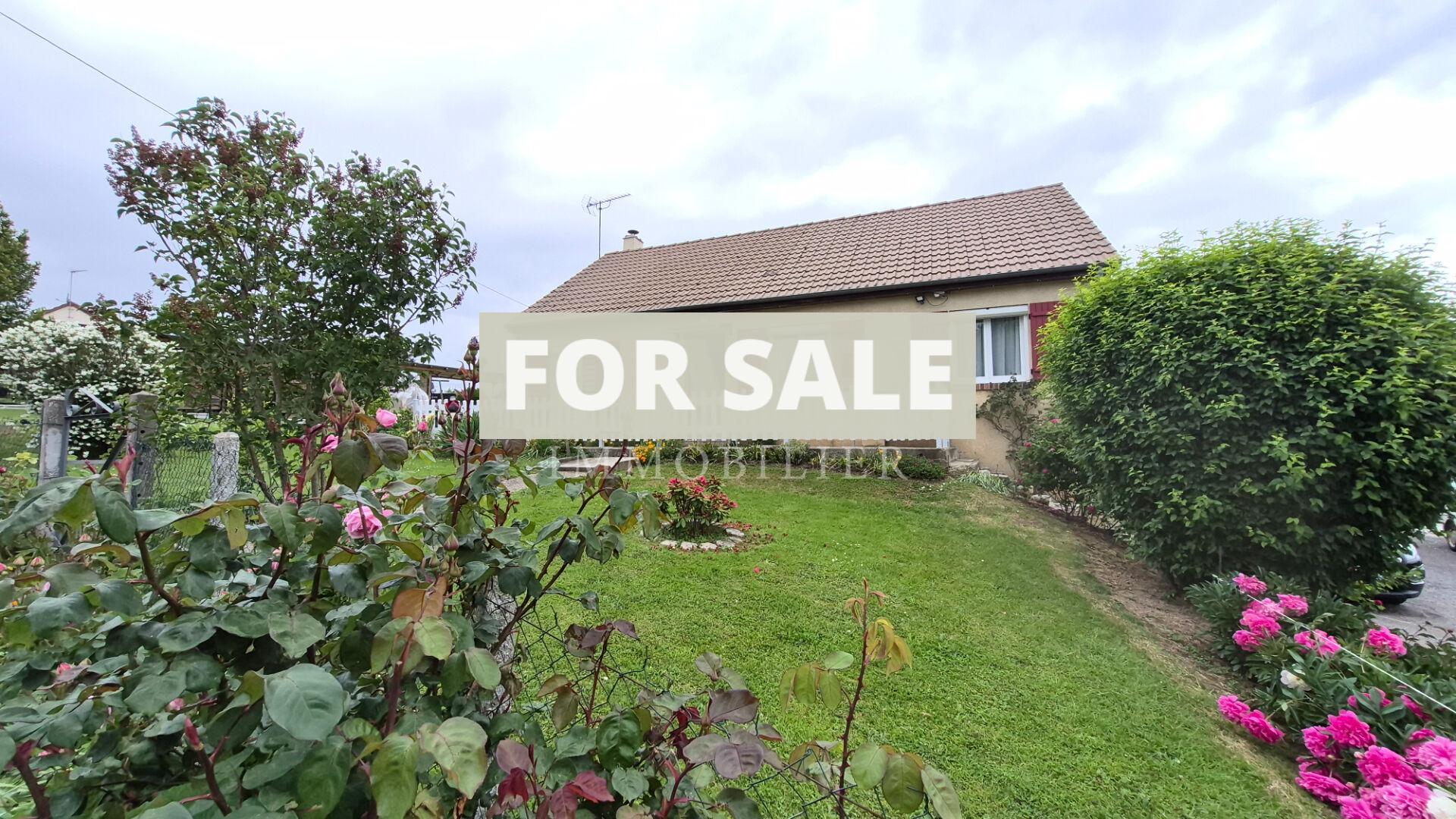Contemporary Detached House with Basement and Lovely Garden