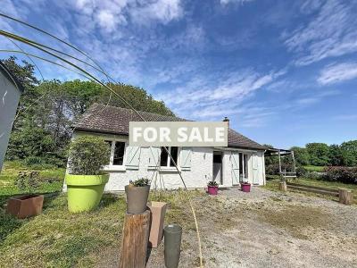 Property For Sale
