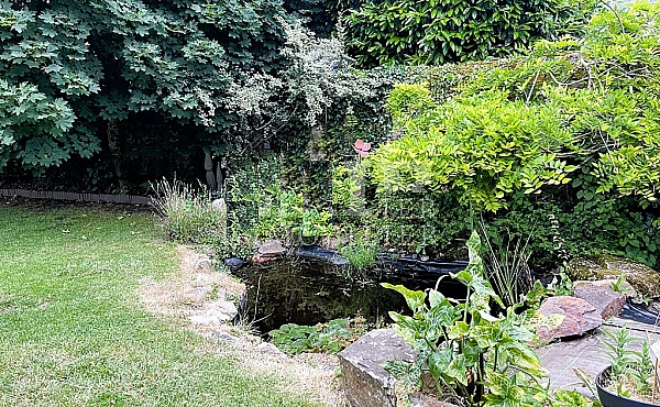 Property_For_Sale_in_France_with_Cle_France_Join_our_mailing_List_DJV06069_i