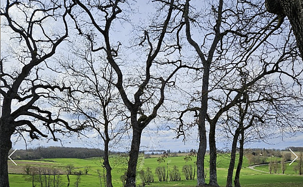 Property_For_Sale_in_France_with_Cle_France_Join_our_mailing_List_AXL05944_43