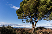 Property_For_Sale_in_France_with_Cle_France_Join_our_mailing_List_AXL05971_1.08