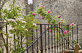 Property_For_Sale_in_France_with_Cle_France_Join_our_mailing_List_AXL06028_4.33