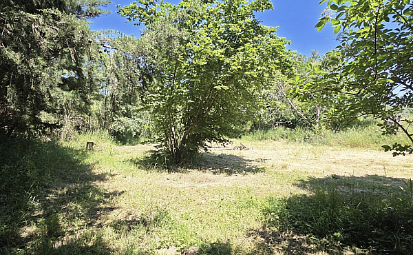 Property_For_Sale_in_France_with_Cle_France_Join_our_mailing_List_AXL06034_11