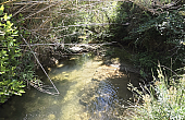 Property_For_Sale_in_France_with_Cle_France_Join_our_mailing_List_AXL06034_19