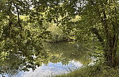 Property_For_Sale_in_France_with_Cle_France_Join_our_mailing_List_RFV01033_6.20