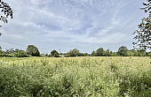 Property_For_Sale_in_France_with_Cle_France_Join_our_mailing_List_RFV01035_23