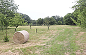 Property_For_Sale_in_France_with_Cle_France_Join_our_mailing_List_MNB07332_7.23