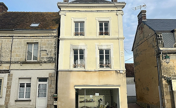 Habitable Village House with More Potential