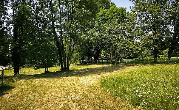 Property_For_Sale_in_France_with_Cle_France_Join_our_mailing_List_AMR00130_134625_2