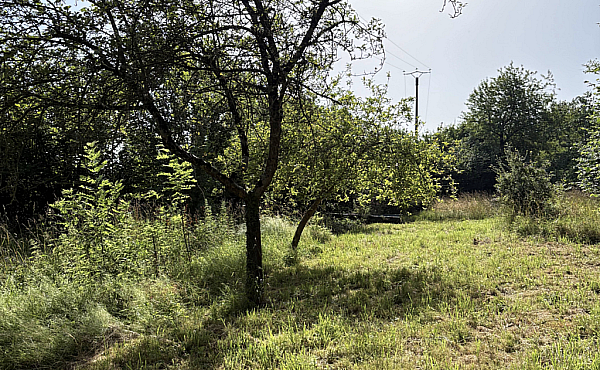 Property_For_Sale_in_France_with_Cle_France_Join_our_mailing_List_DJV04109_7.53