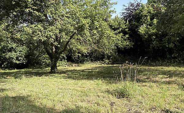 Property_For_Sale_in_France_with_Cle_France_Join_our_mailing_List_DJV04109_7.56
