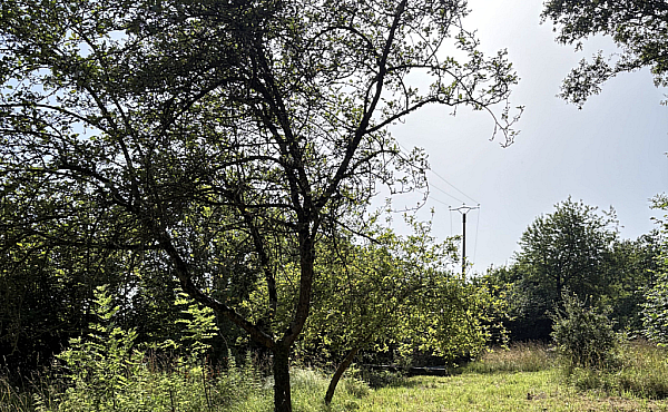 Property_For_Sale_in_France_with_Cle_France_Join_our_mailing_List_DJV04109_8.17