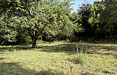 Property_For_Sale_in_France_with_Cle_France_Join_our_mailing_List_DJV04109_7.56