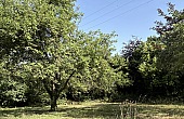 Property_For_Sale_in_France_with_Cle_France_Join_our_mailing_List_DJV04109_8.10