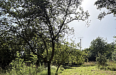 Property_For_Sale_in_France_with_Cle_France_Join_our_mailing_List_DJV04109_8.17