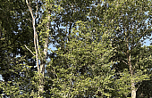 Property_For_Sale_in_France_with_Cle_France_Join_our_mailing_List_DJV04109_8.21