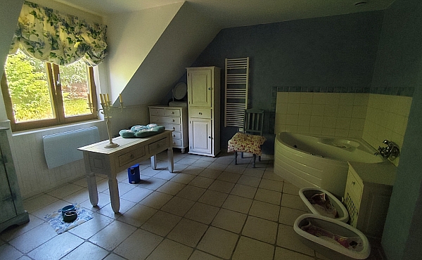 Property_For_Sale_in_France_with_Cle_France_Join_our_mailing_List_ERS00147_152753