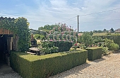 Property_For_Sale_in_France_with_Cle_France_Join_our_mailing_List_DJV06177_p