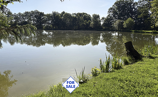 Fishing Lake with Building in Glorious Large Private Plot of Countryside